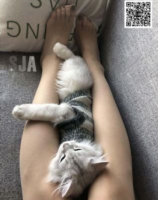伞少女